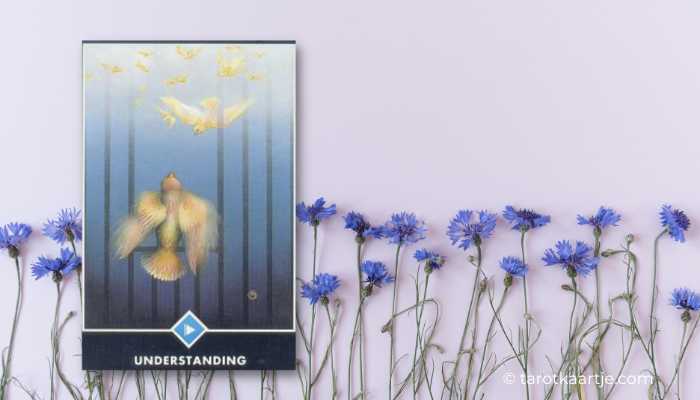 schildknaap van bekers