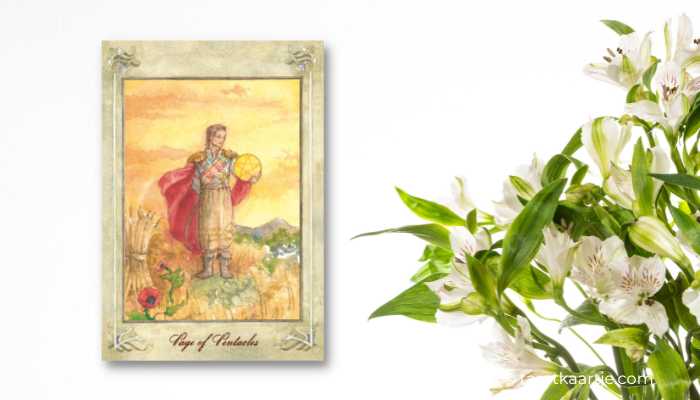 schildknaap van pentakels