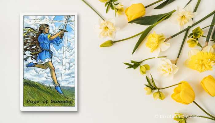 schildknaap van zwaarden