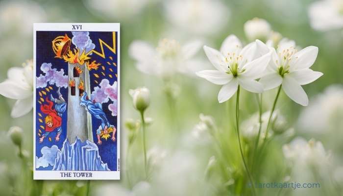 de toren tarot